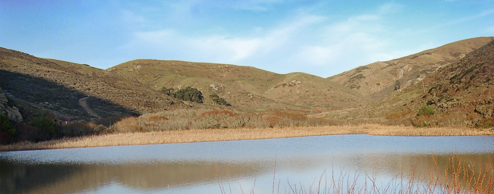 Environmental Law Foundation Environmental Law Foundation